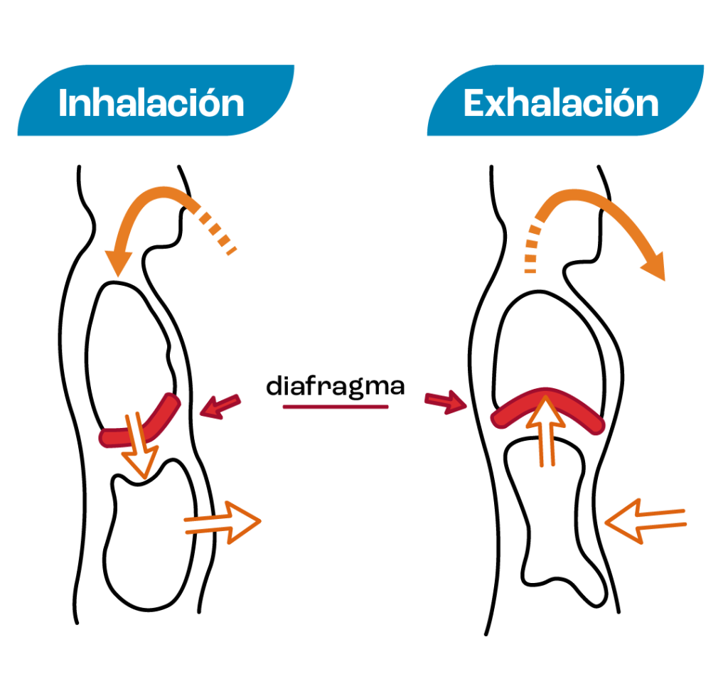 ejercicios-para-tener-voz-grave-respiracion-diafragmatica